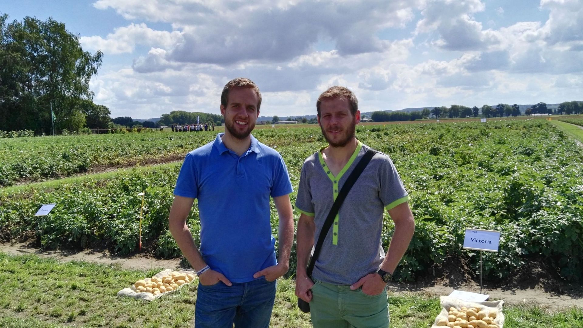 Visite d’essais en culture de pommes de terre dans le cadre du projet Sytranspom. 