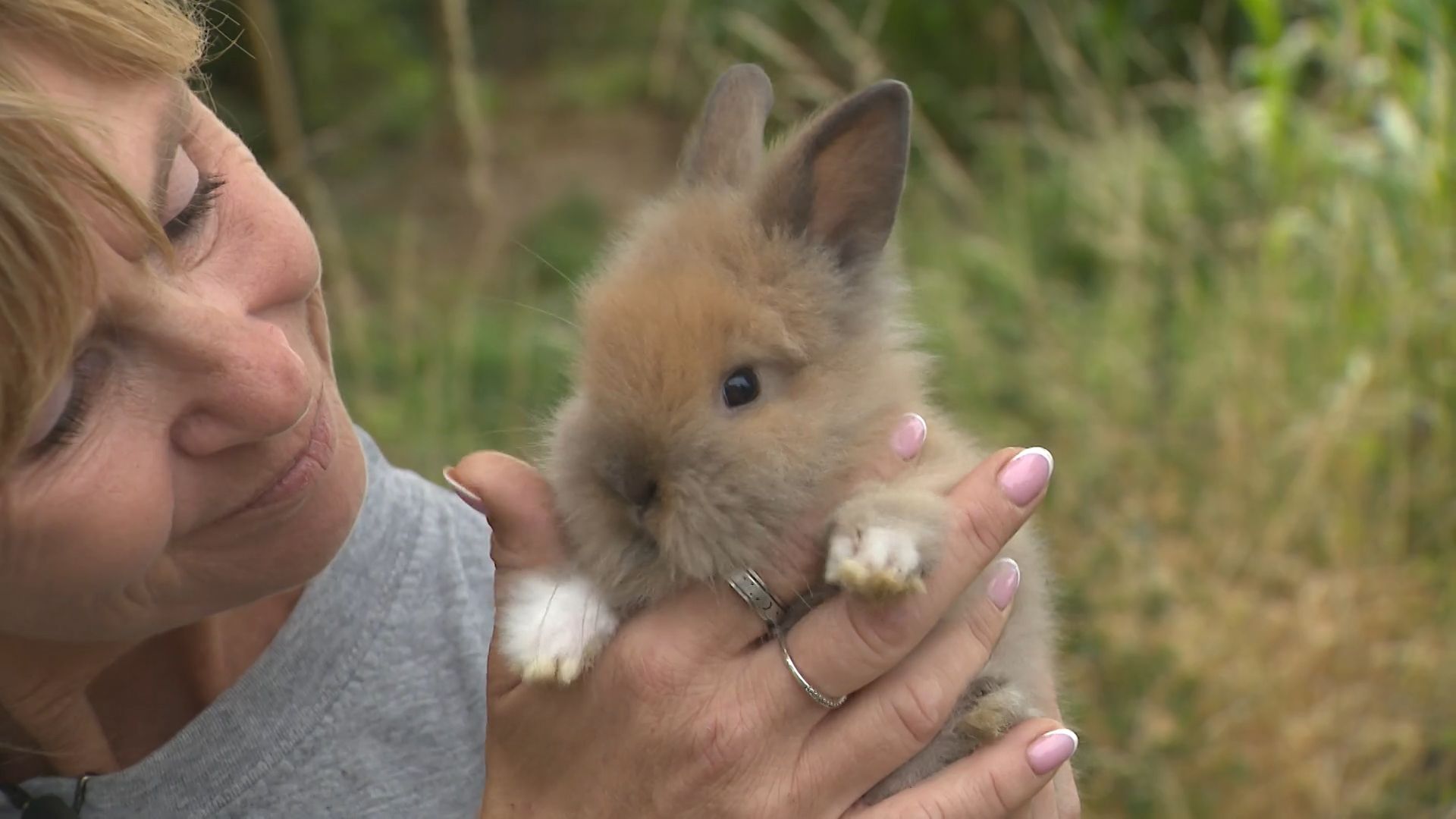 Les animaux de ferme miniatures séduisent les Belges… mais attention aux contraintes