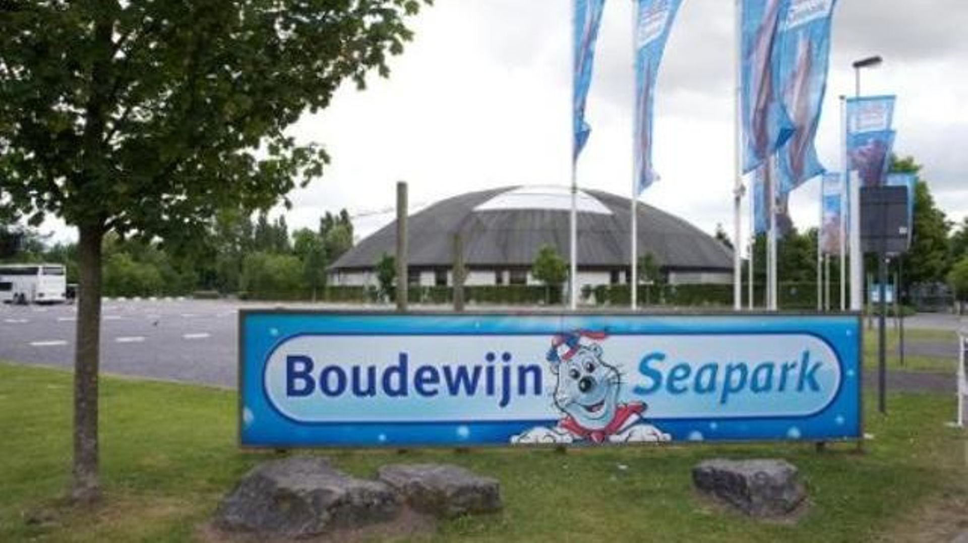 L'association Bite Back proteste contre le delphinarium du Boudewijn Seapark