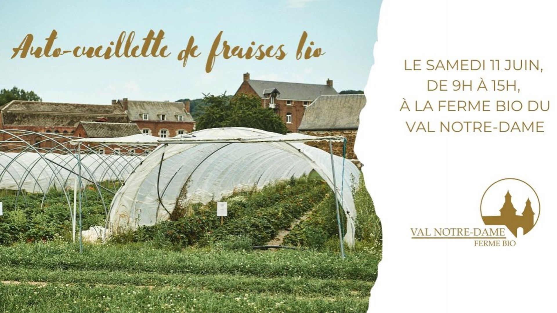 Journée d’auto-cueillette de fraises bio Ferme bio du Val Notre-Dame