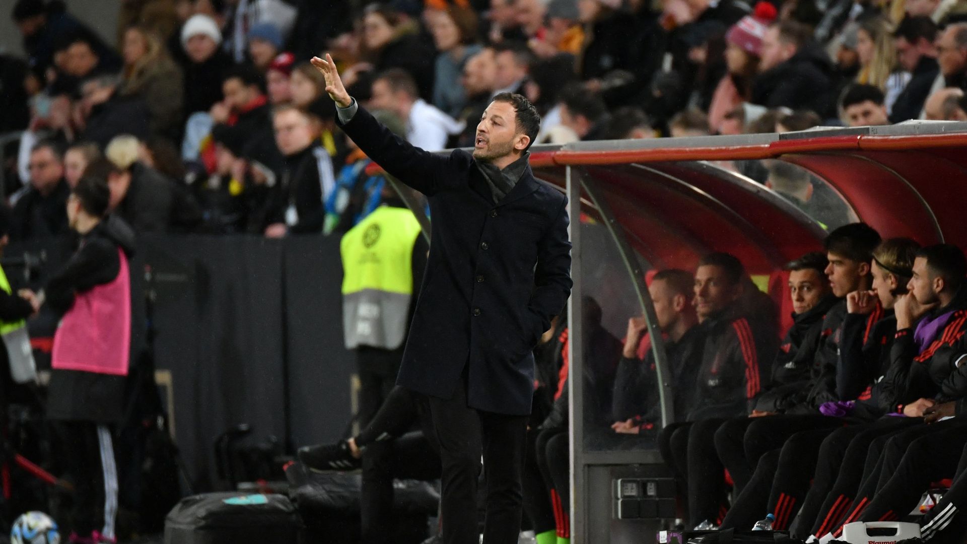 Les Enseignements De Domenico Tedesco Après Les 2 Premiers Matches Des ...