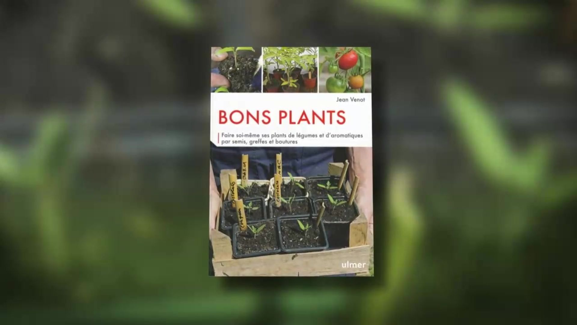 Comment Faire Ses Sois Meme Des Plants De Maison