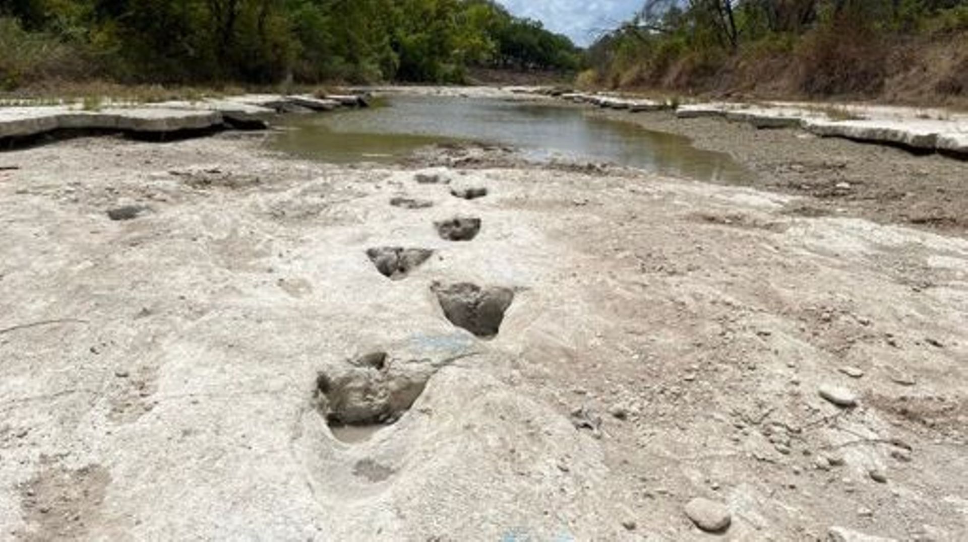 Sécheresse - La sécheresse laisse apparaître des traces de dinosaures dans le lit d'une rivière texane