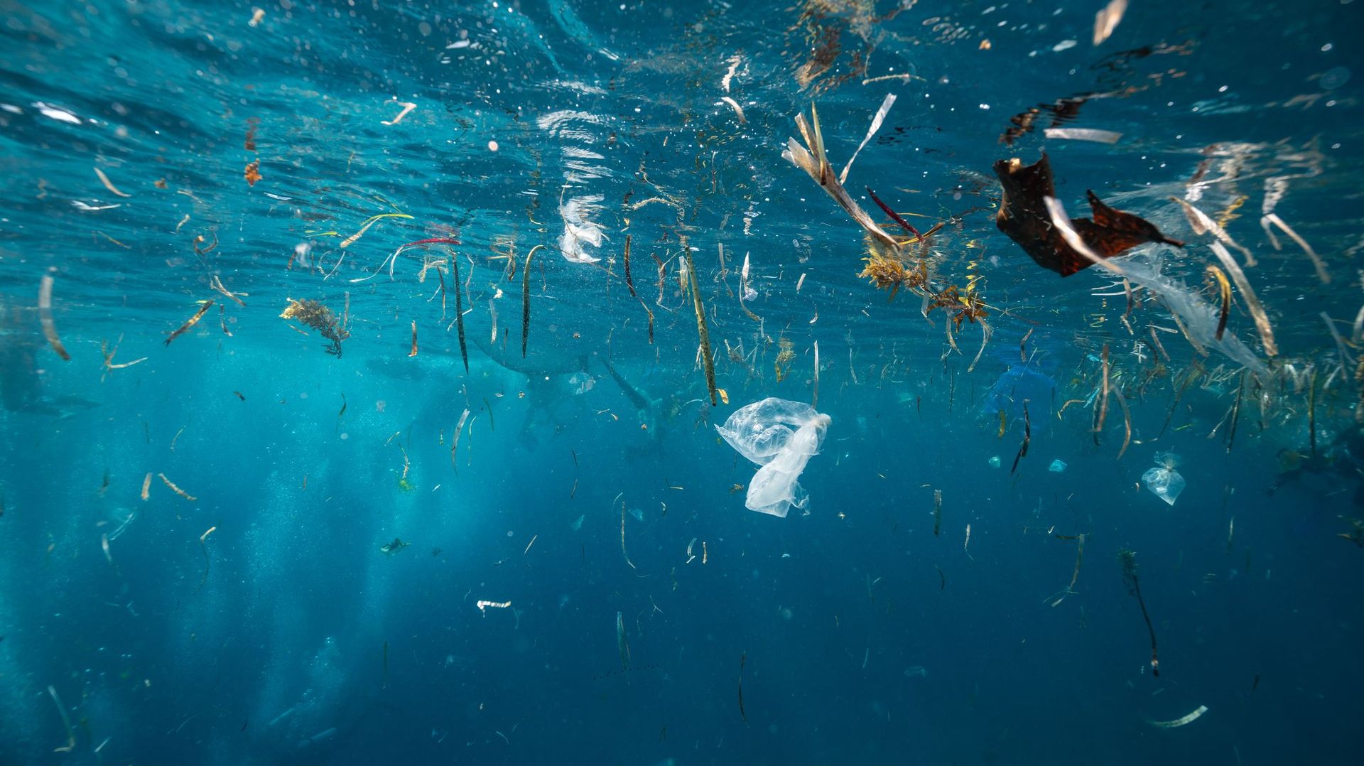 Les fonds marins jonchés de 14 millions de tonnes de microplastiques, 25 fois plus que selon les précédentes études