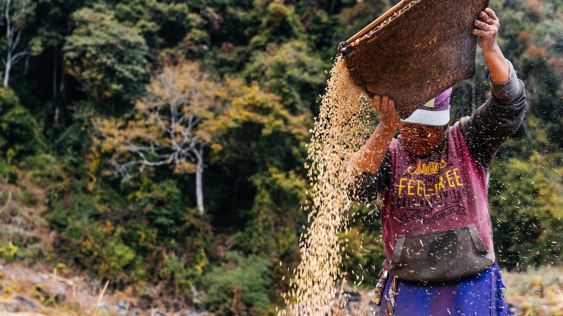 Sangay Om travaille 12 heures chaque jour dans ses champs, cette terre qui nourrit entièrement sa famille.  