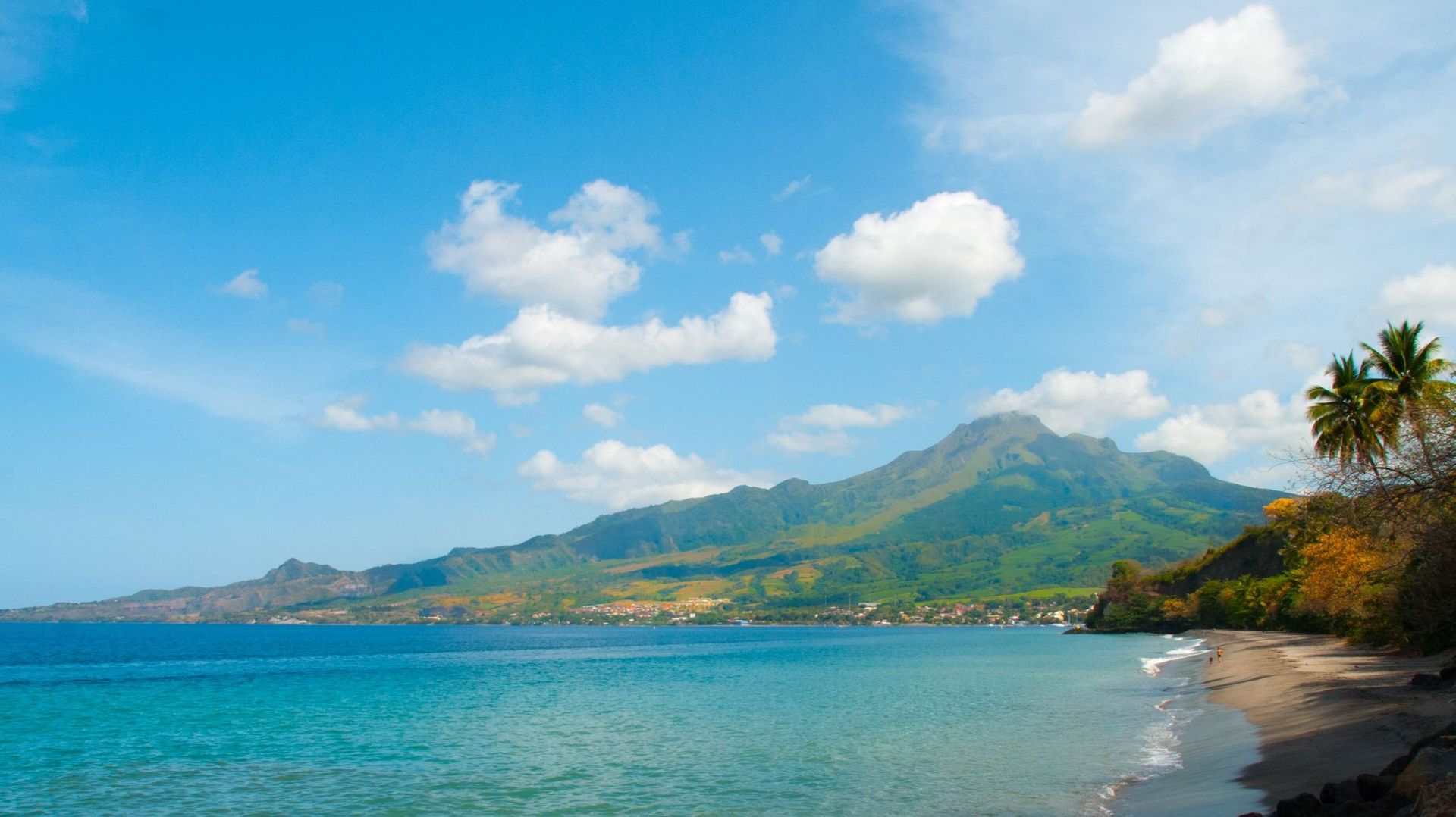 Martinique : un parc naturel marin créé d'ici fin mars