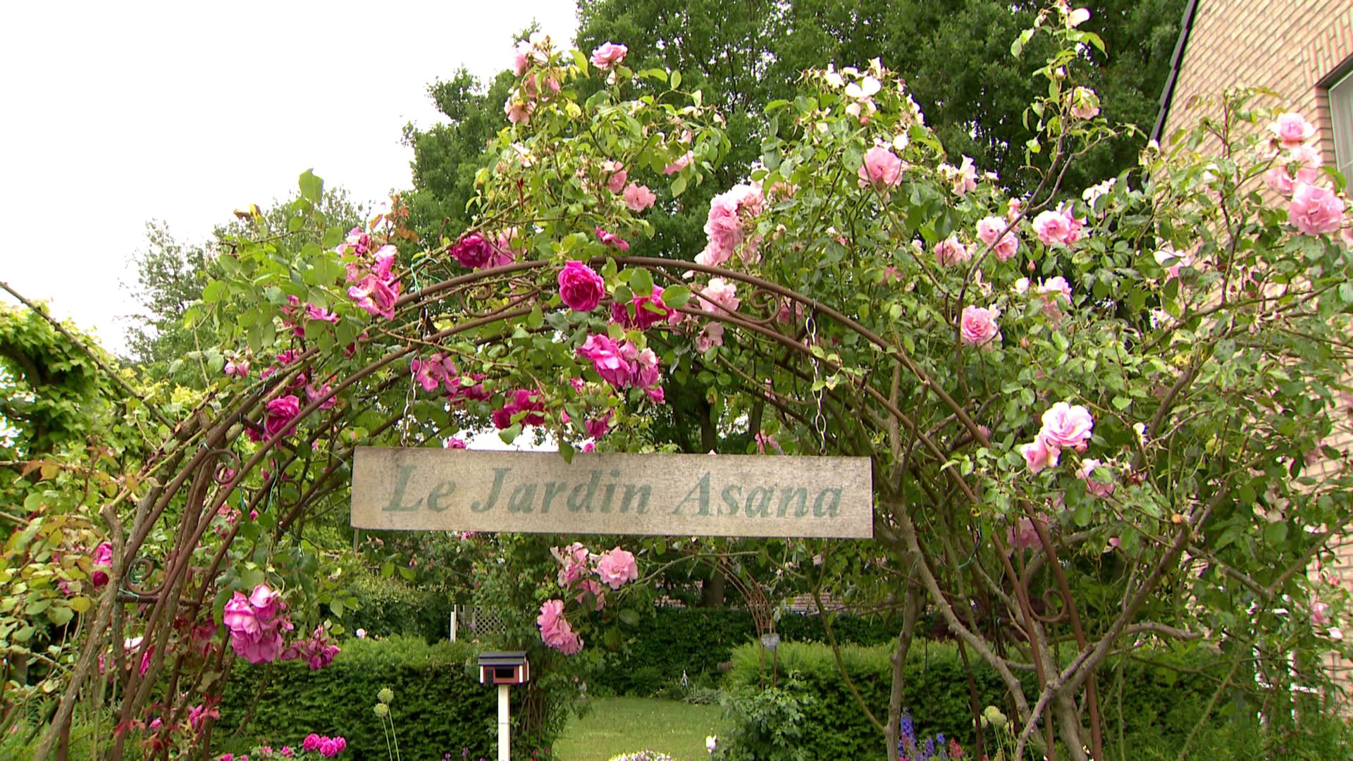 Le jardin Asana
