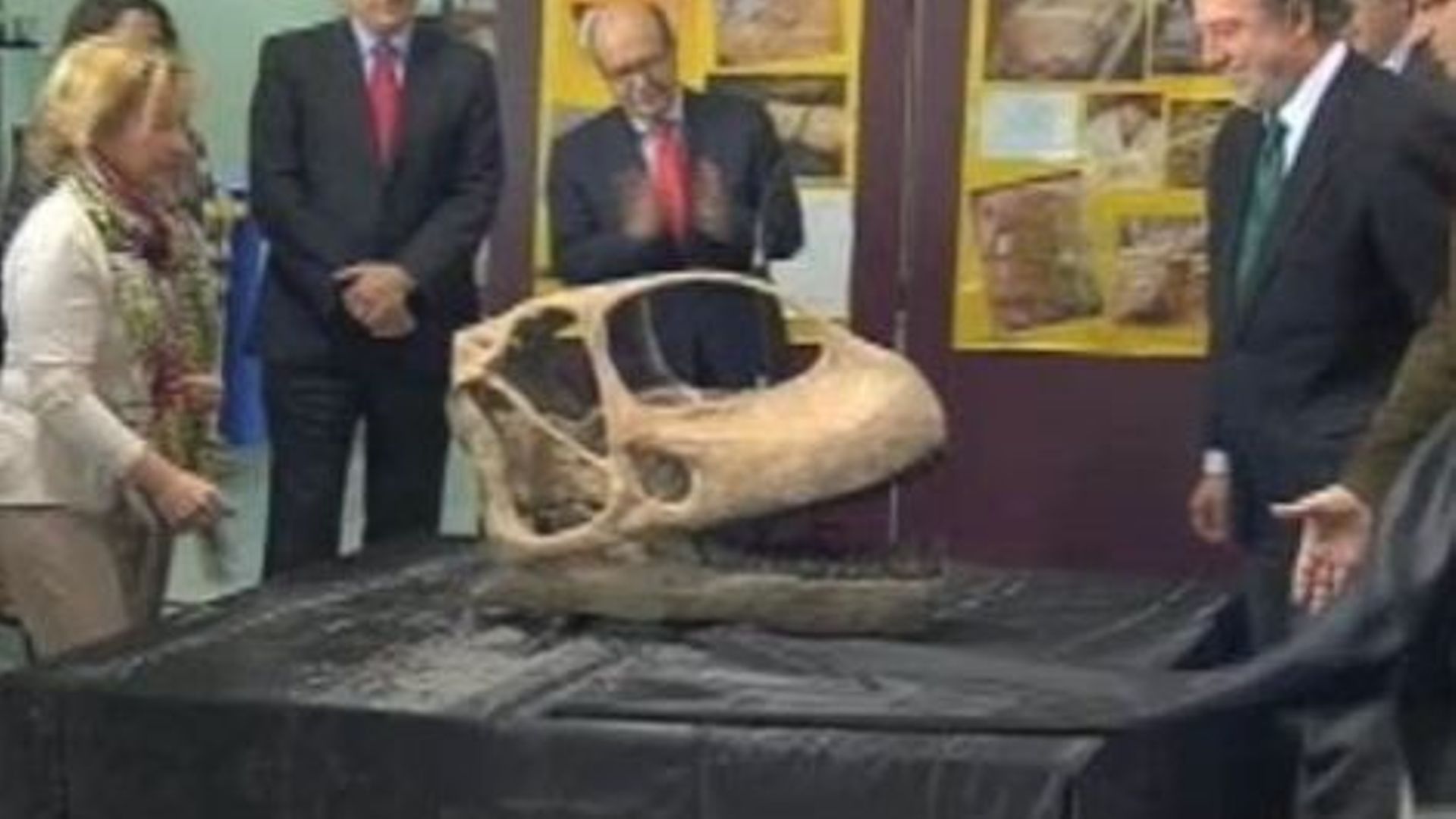 La reconstitution du crâne d'un des plus grands dinosaures en Espagne