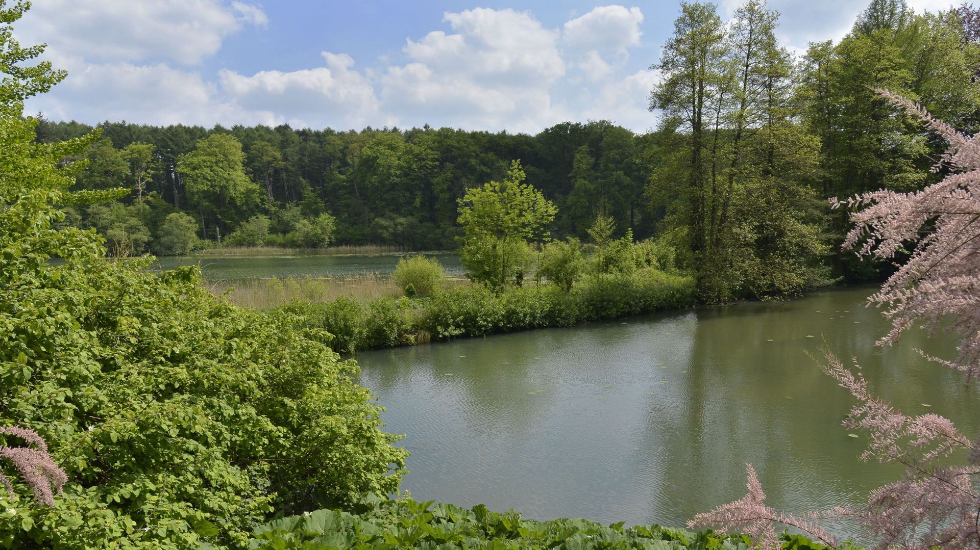 Le Brabant wallon regorge d'étendues vertes, comme le domaine provincial d'Hélécine