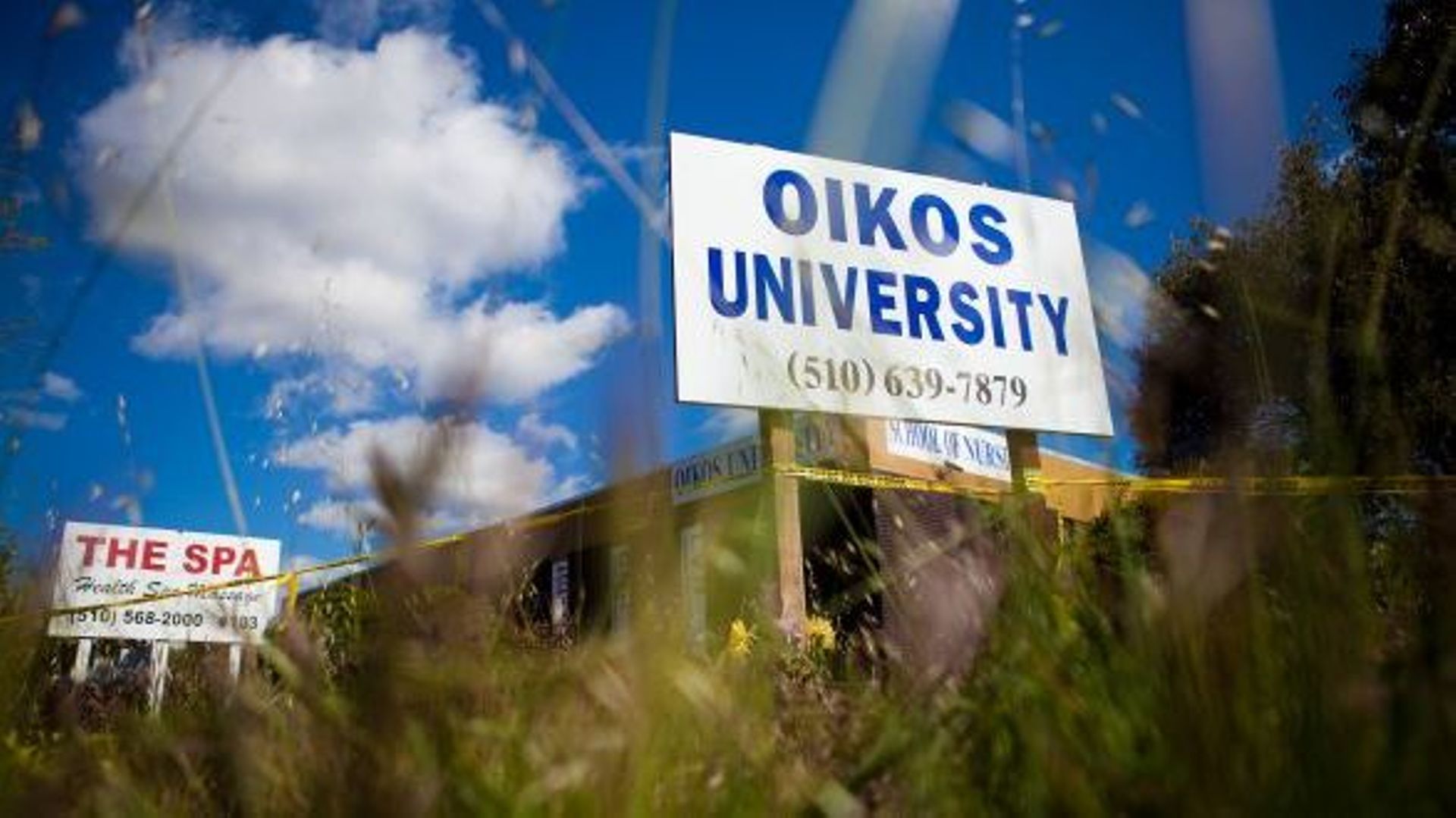 L'université d'Oikos