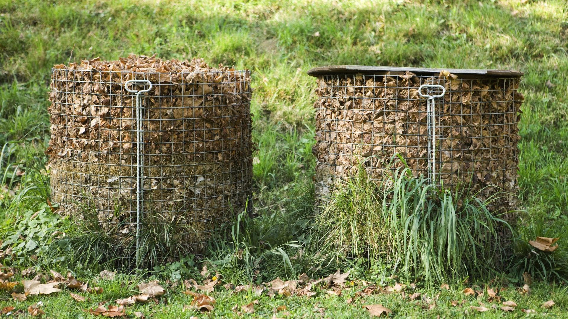 Cinq mètres de treillis métallique pour clôture permettent de former un cercle d’un mètre cinquante de diamètre. Ce cylindre de treillis pourra accueillir plus de deux mètres cubes de feuilles.