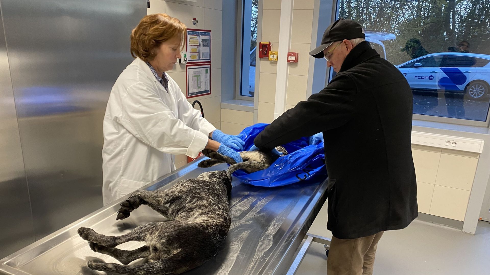 Teddy et Ficelle, les deux chiens de chasse, seront autopsiés ce lundi à la Faculté de médecine vétérinaire de l’université de Liège.