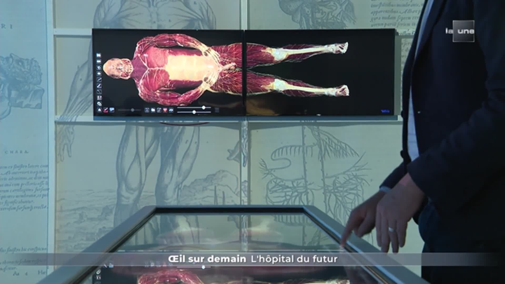 Virtual dissection table, 3D skeleton, architecture: what will the hospital of the future look like?