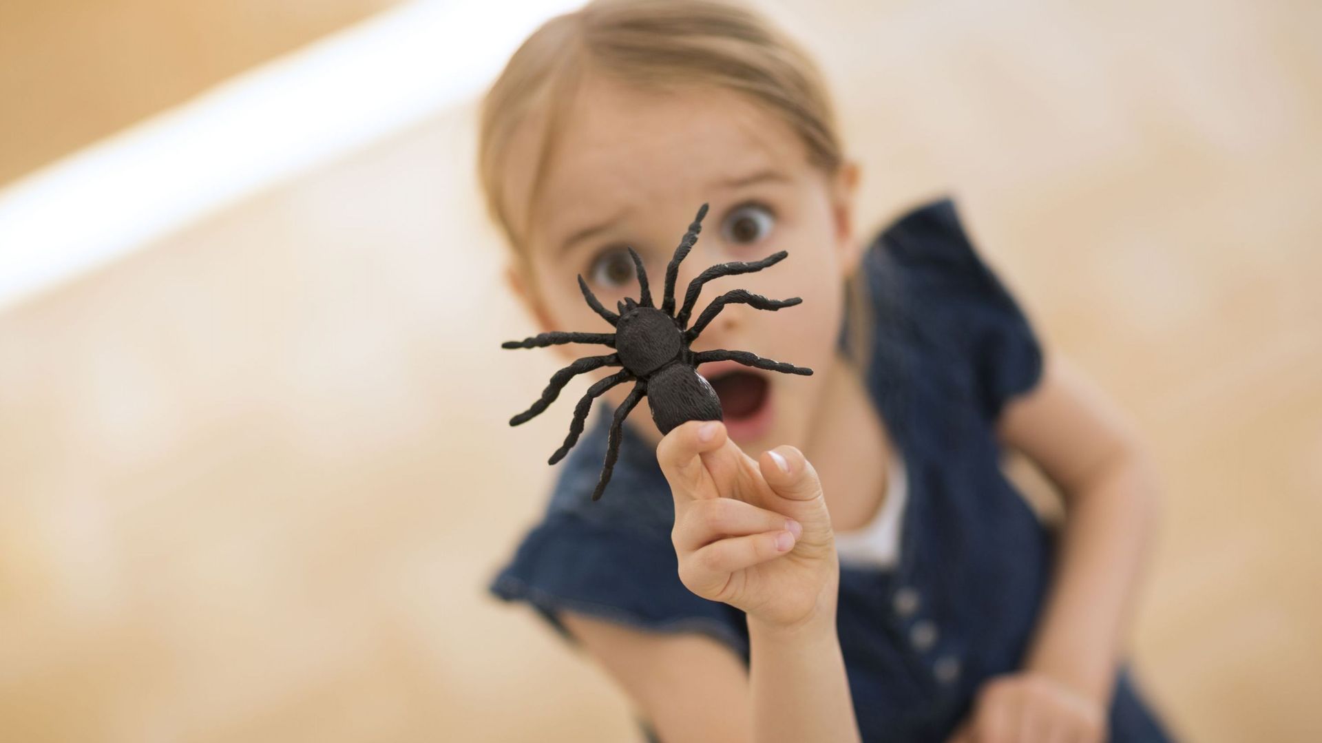 Insolite. Bien que petite, une araignée provoque la panique dans