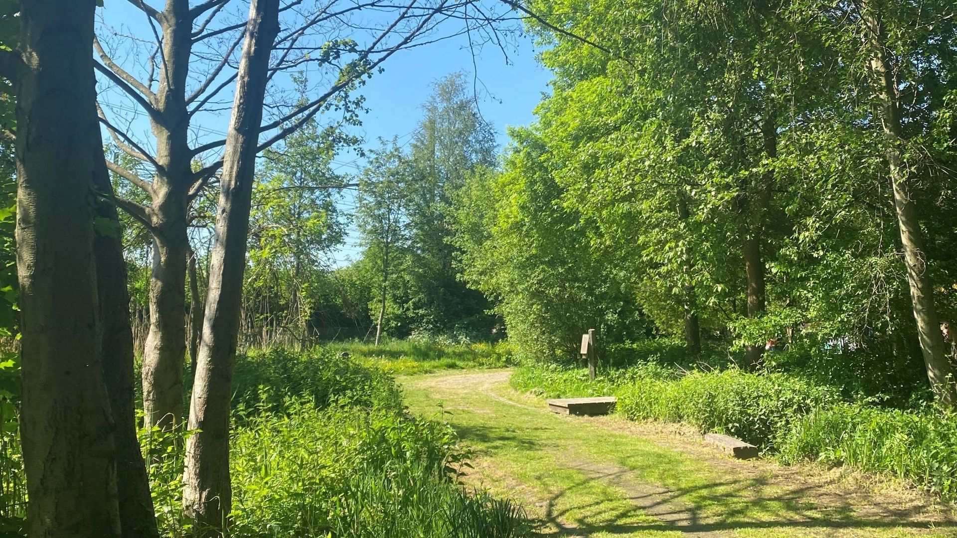 Le parc des sources est une poche de biodiversité au cœur du quartier de Salzinnes-lez-Moulins, des sentiers et pontons permettent de le découvrir.