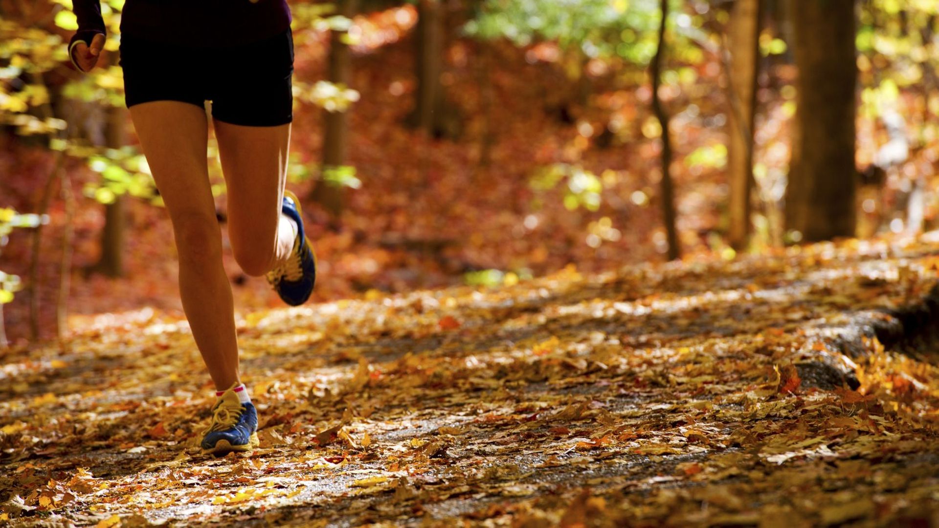 La course à pied est bénéfique pour la colonne vertébrale et contre le mal de dos