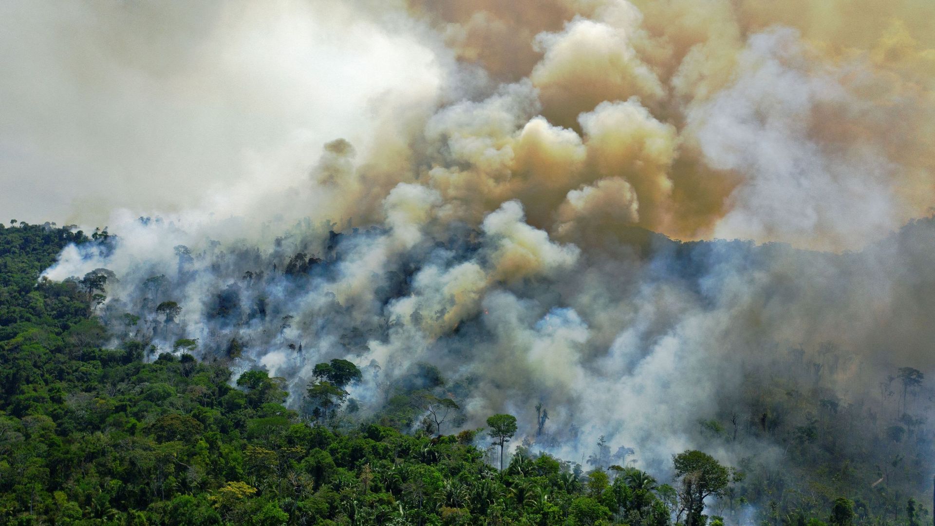 Un incendie en Amazonie en août 2021.