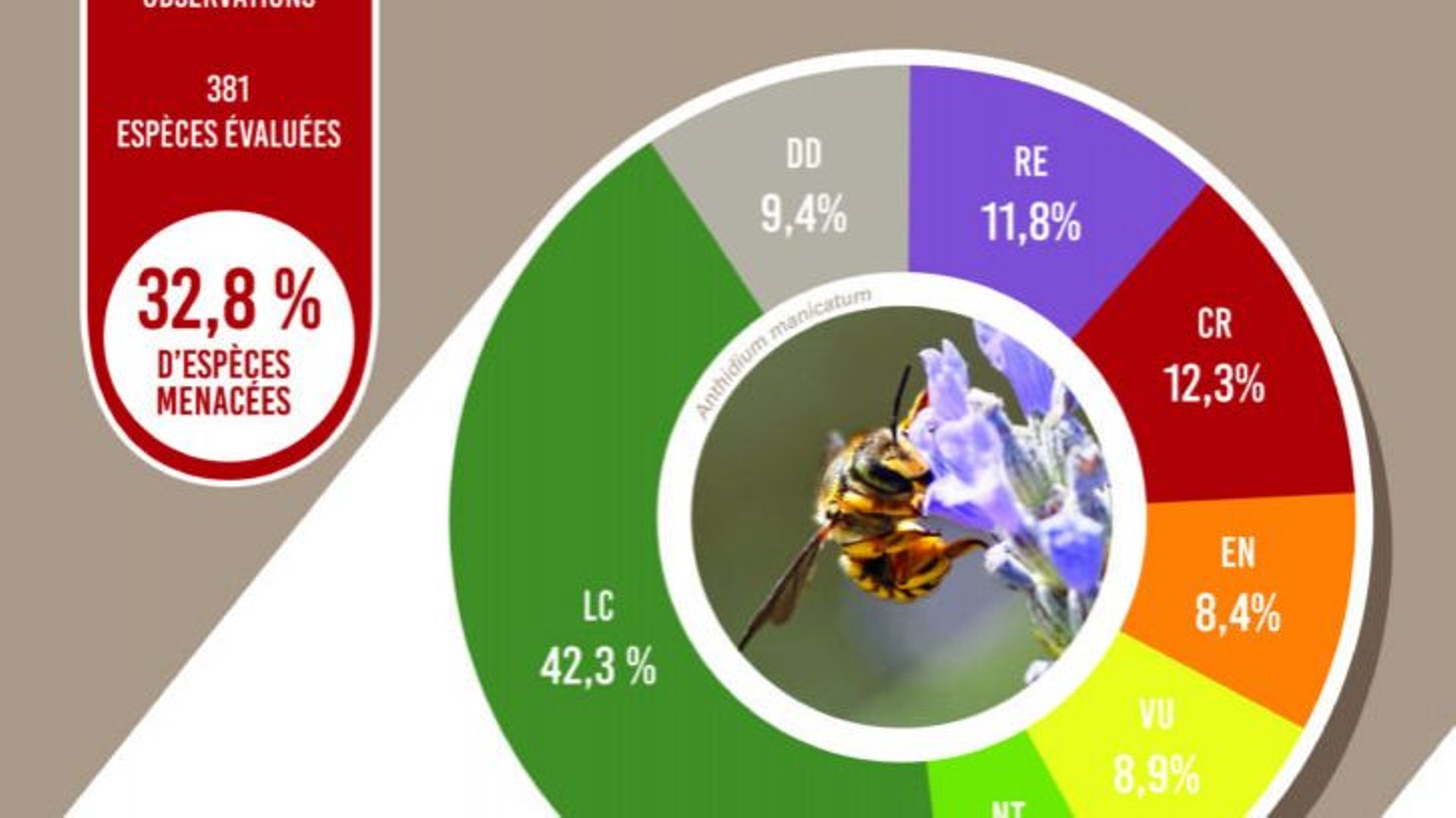Liste rouge des abeilles de Belgique