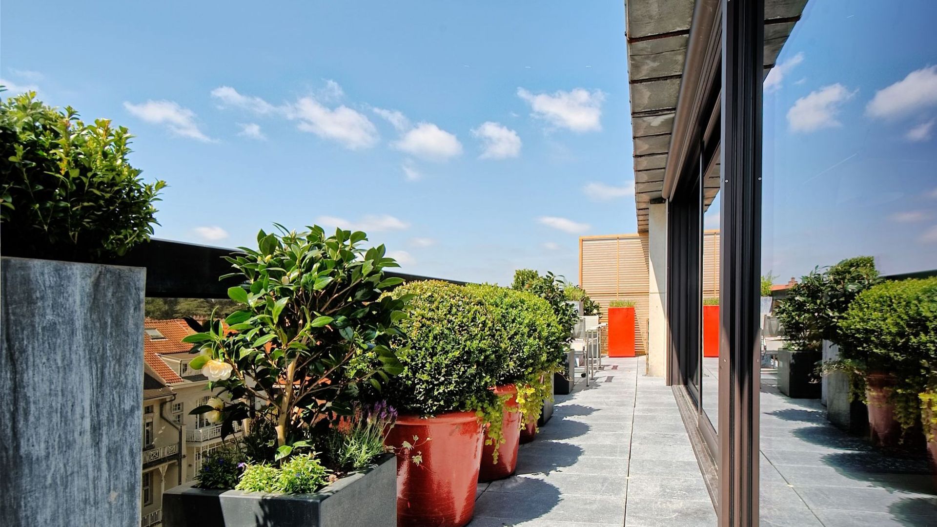 Une terrasse à Uccle transformée en un espace vert - RTBF Actus