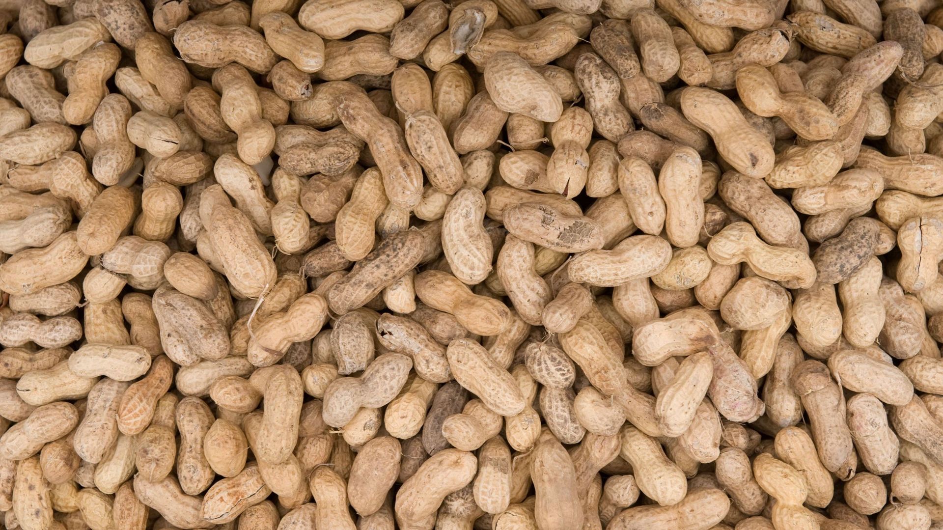 Des cacahuètes