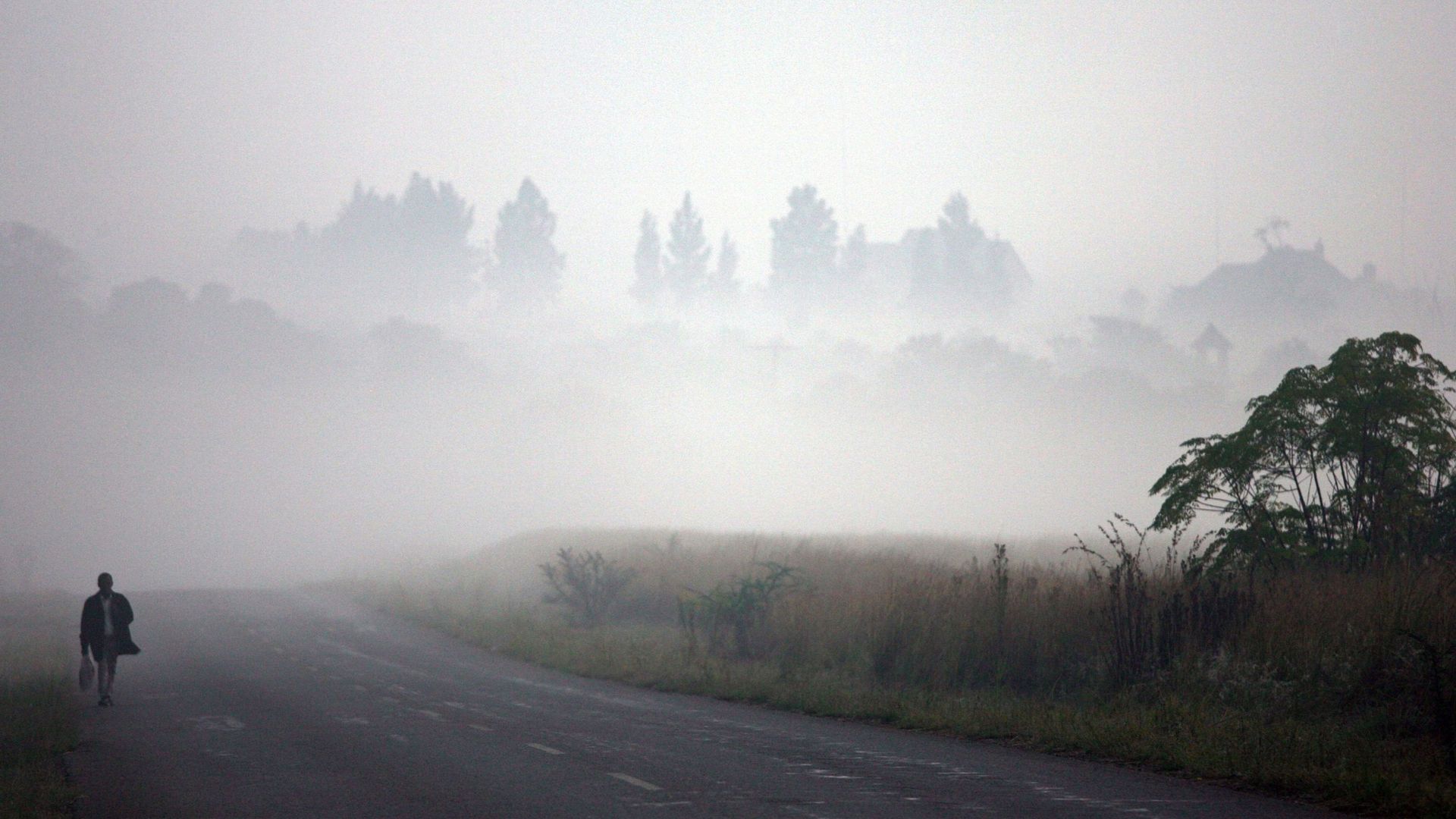 A South African man walks to work through early morning mist in the Cradle of Humankind, north-west of Johannesburg, South Africa, ahead of Earth Day on April 22