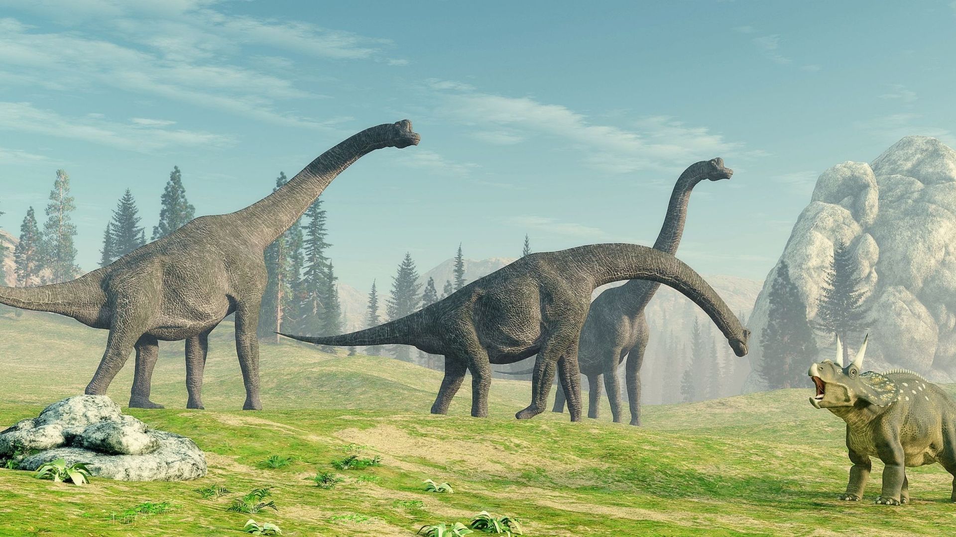Deux nouvelles espèces de dinosaures découvertes