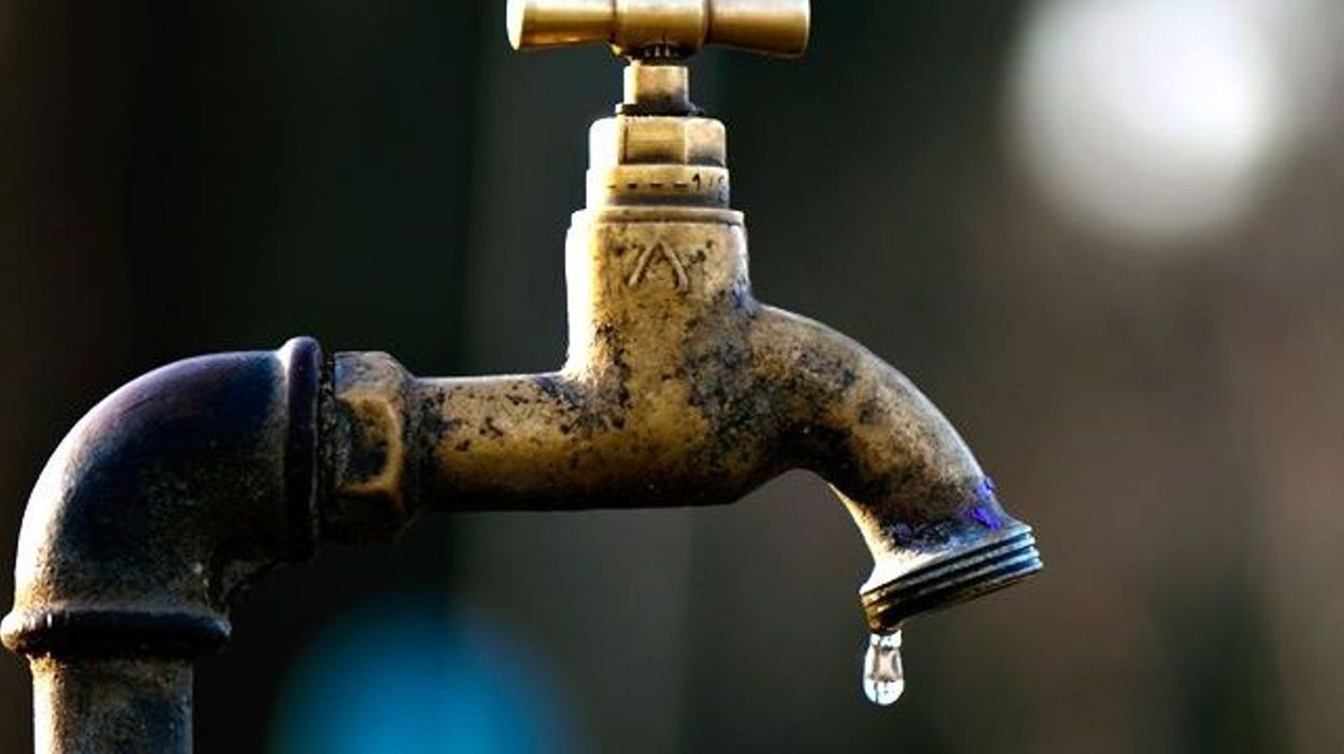 Pénurie d'eau en Flandre: "L'eau est plus déterminante pour nos vies que le coronavirus"