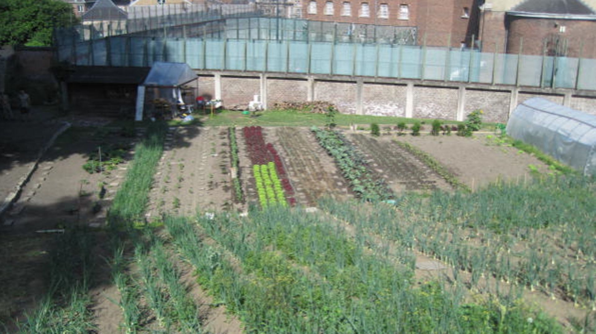 Un potager dans l'enceinte de la prison de Huy