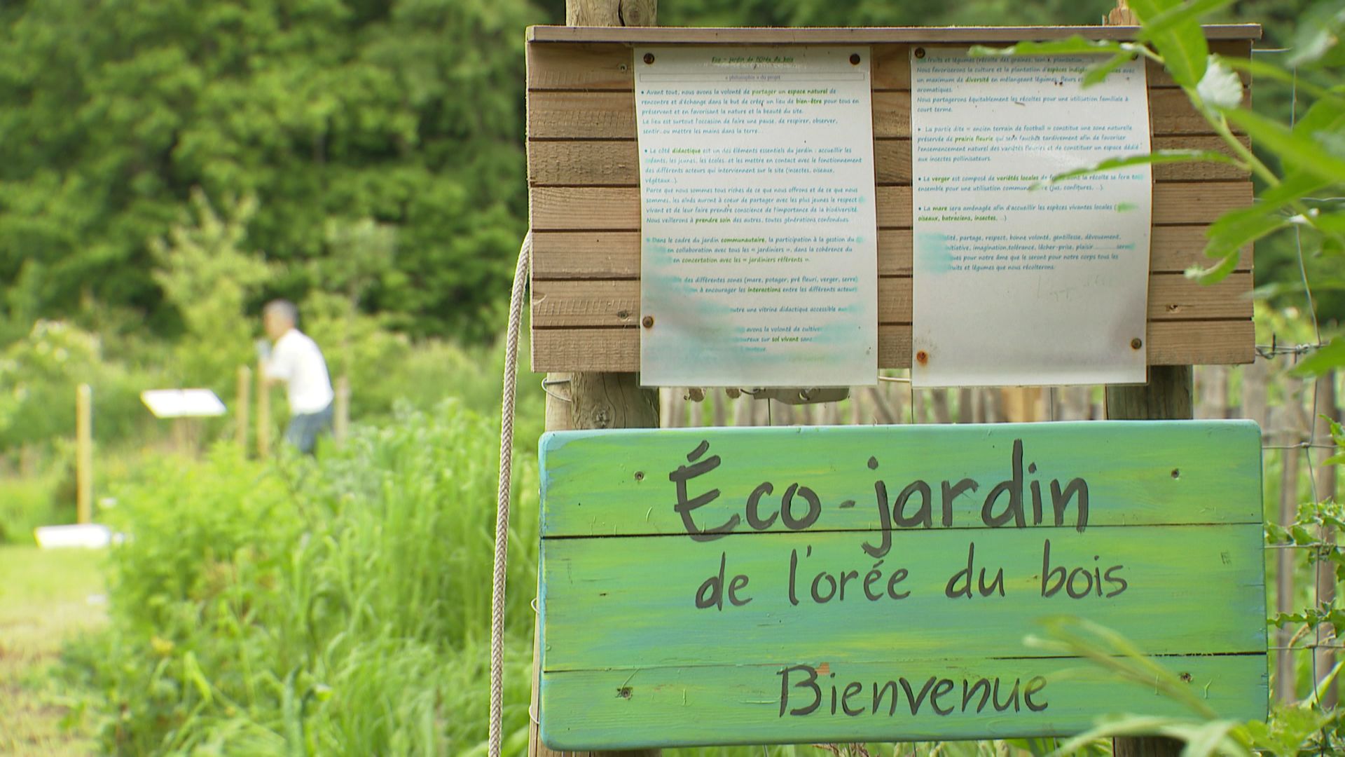 Eco-jardin de l’orée du Bois à Grand-Leez