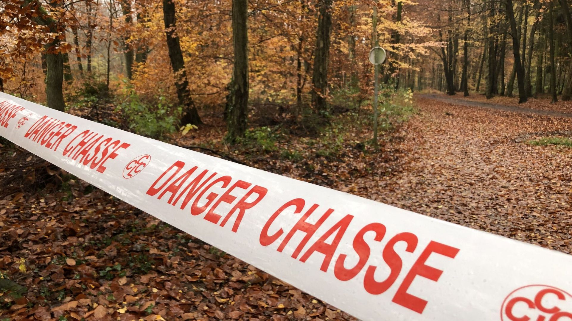 A différents endroits, les utilisateurs de la forêt sont informés qu'une chasse est organisée.