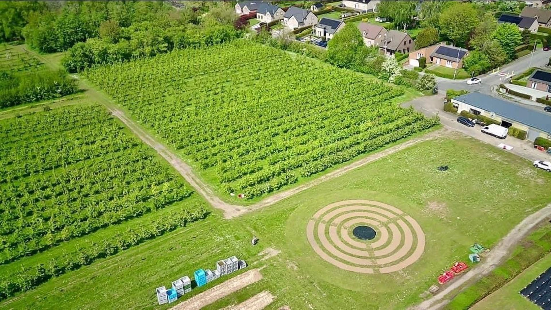 Comment cultiver pour mieux s’adapter au dérèglement climatique