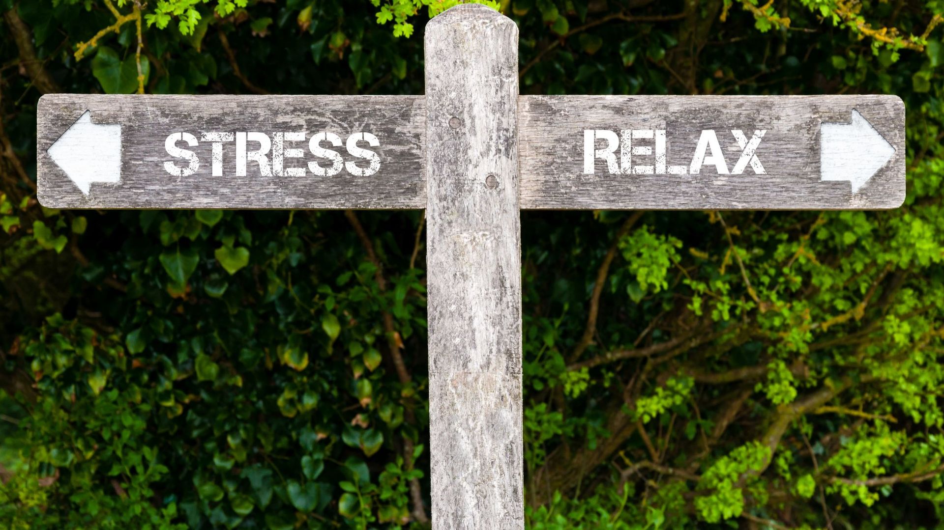 7 choses à faire pour réduire son stress au quotidien