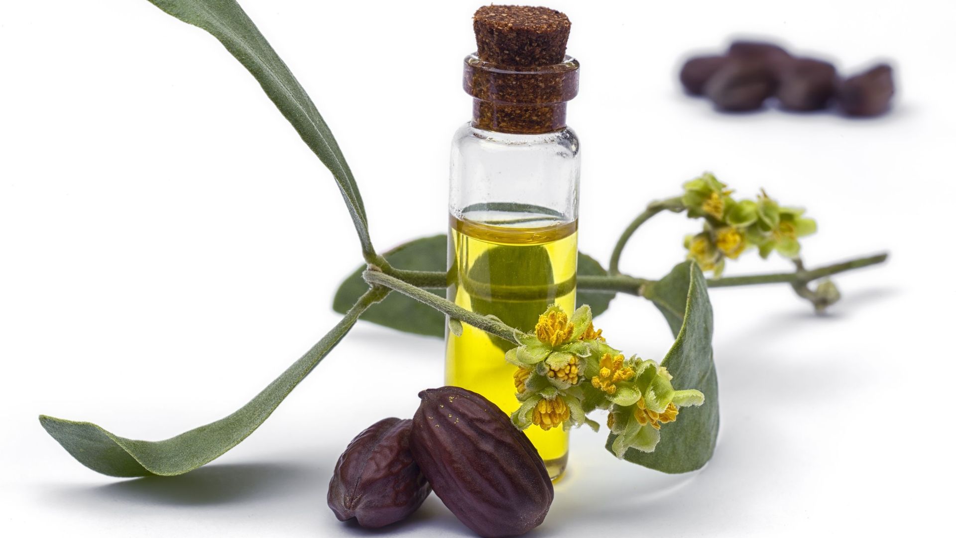 Le pouvoir des huiles végétales : le jojoba pour la vitalité de la peau et des cheveux