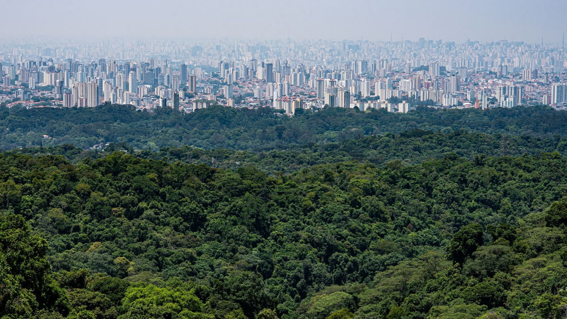 La surpopulation humaine, une menace pour la nature ? "C'est un faux problème !"