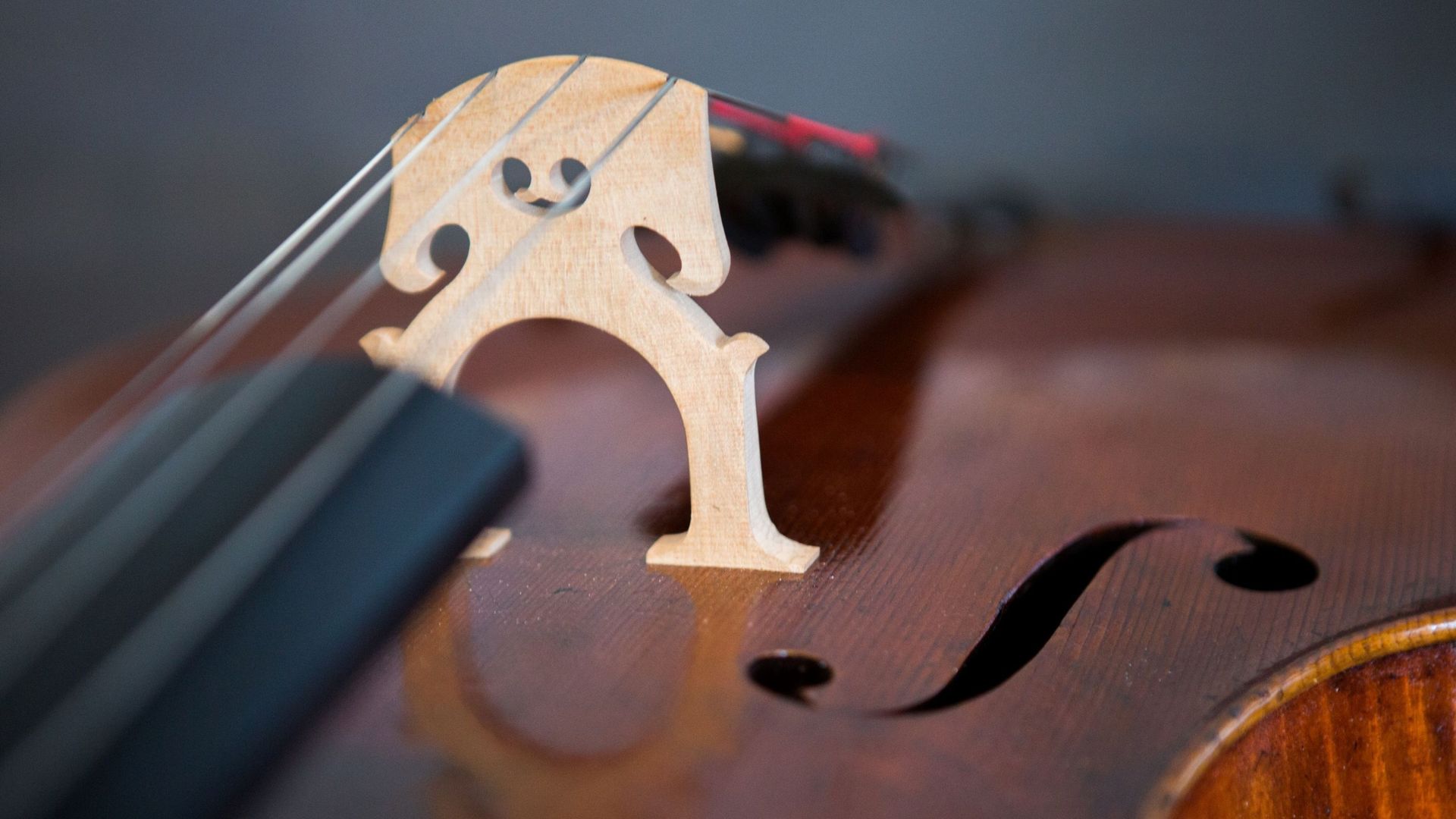 La Finale du Concours Reine Elisabeth 2022 violoncelle se tiendra à Bozar du 30 mai au 4 juin.