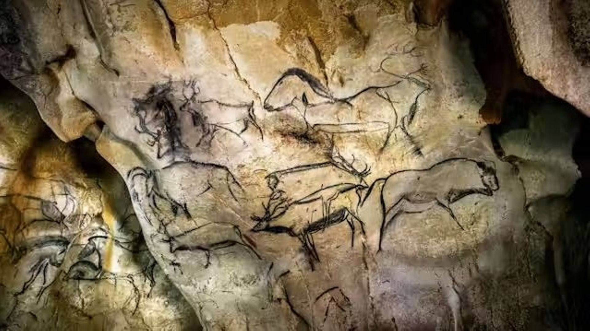 ホモサピエンスの日常生活：40、000年前の人間の新しいビジョン