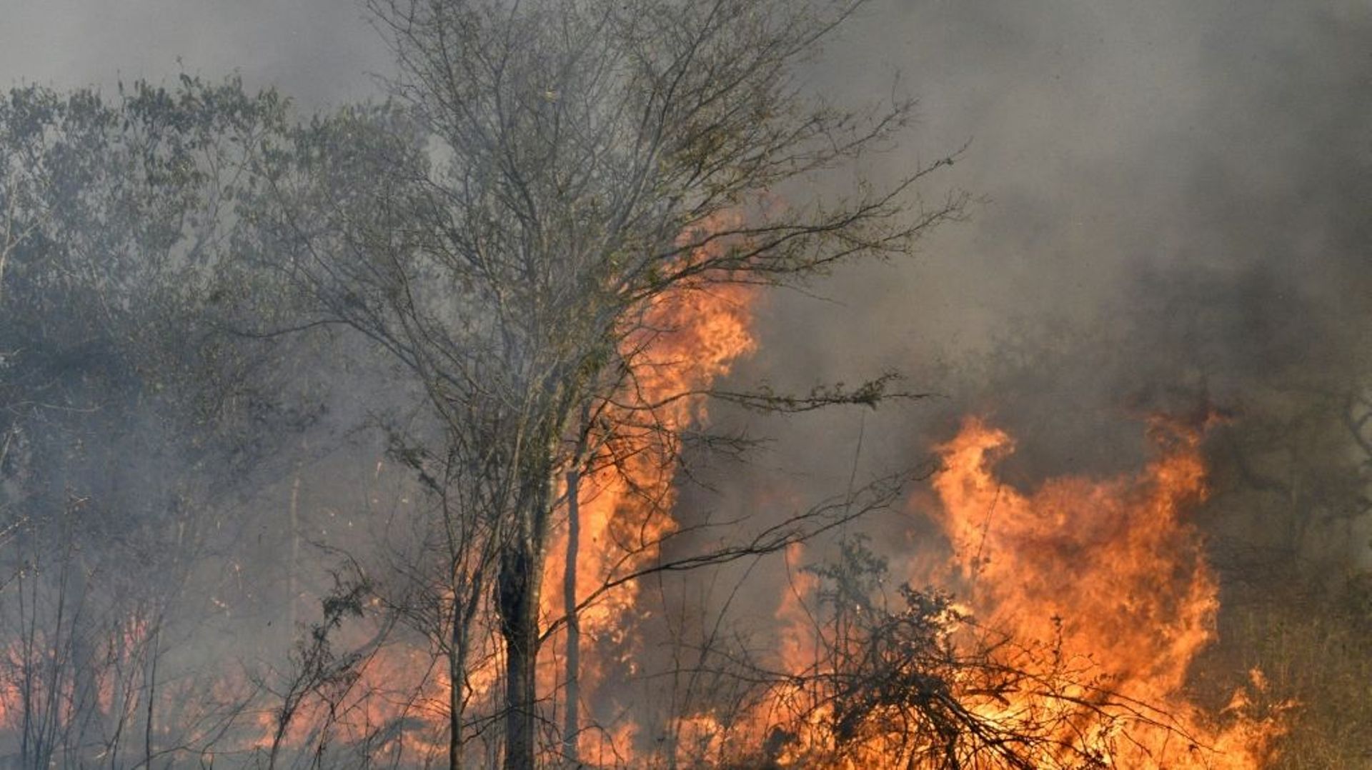 bolivie-des-incendies-criminels-devastent-des-reserves-ecologiques