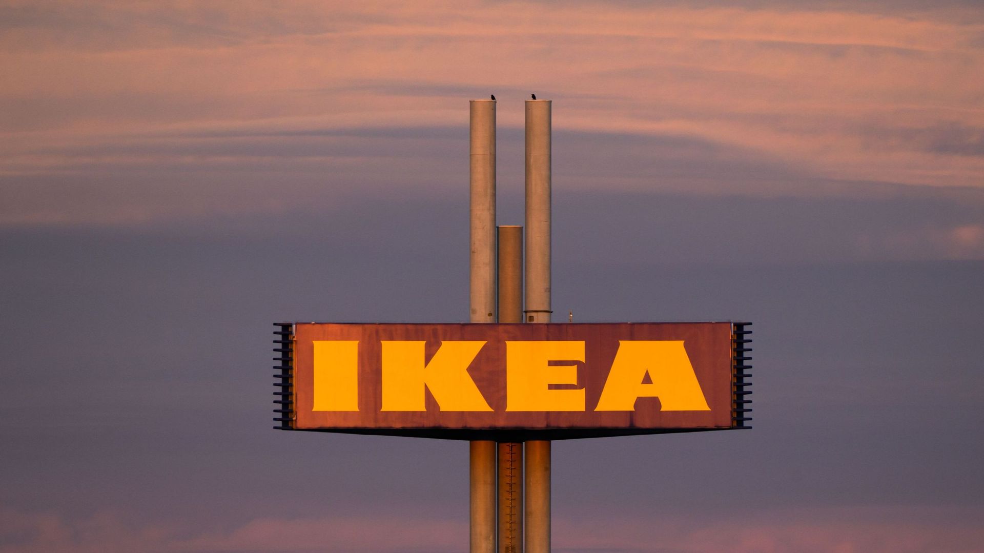 IKEA : du meuble en kit à la crise sociale, l’épopée suédoise entre innovations et remises en question