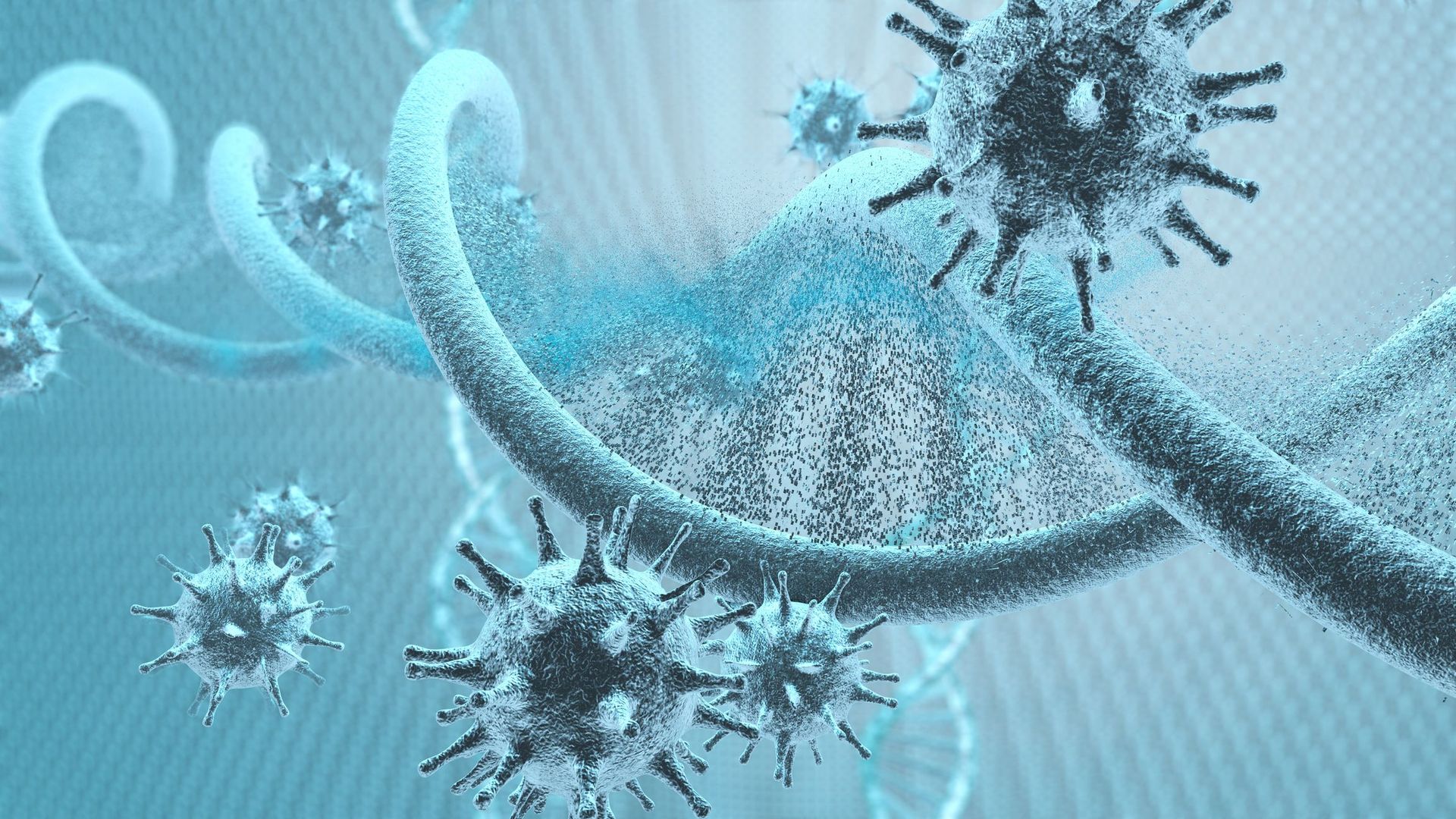 Coronavirus : l’immunité, potentielle alliée pour freiner l’épidémie, est encore mal comprise
