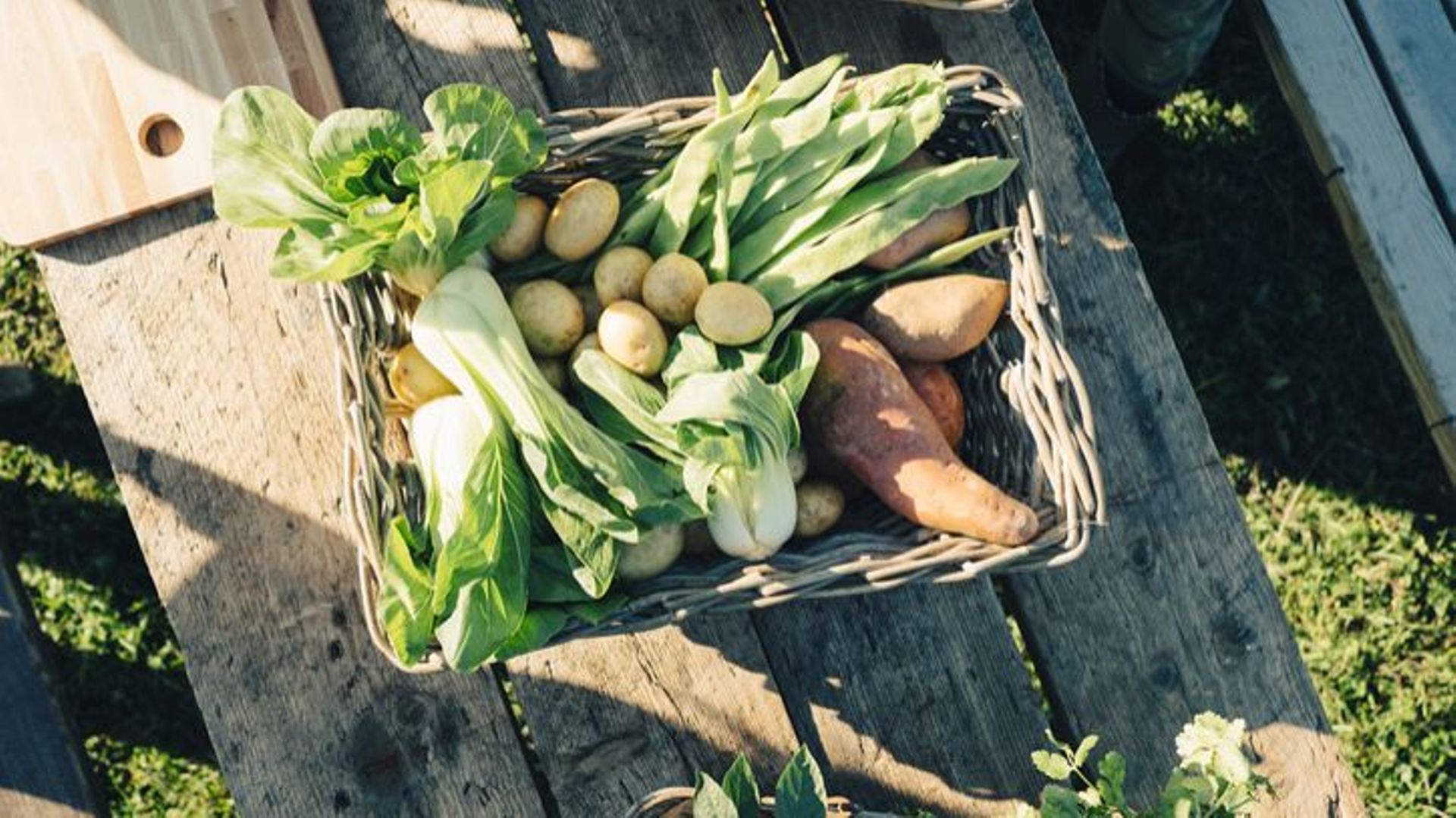 La ferme 3.Zéro située dans le pays de Herve vous propose des fruits et légumes BIO