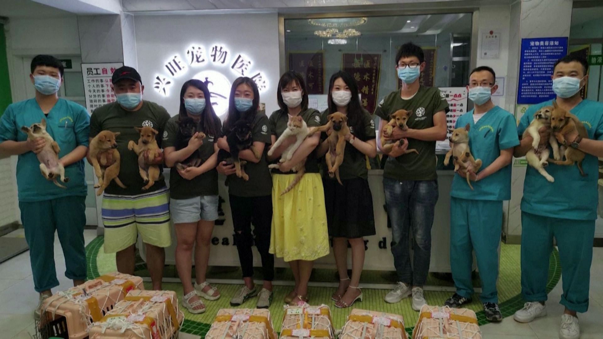 Des membres de l’ONG HUMAN SOCIETY INTERNATIONAL et des employés d’un hôpital tenant des chiens sauvés du festival de viande de chiens de Yulin, en Chine.
