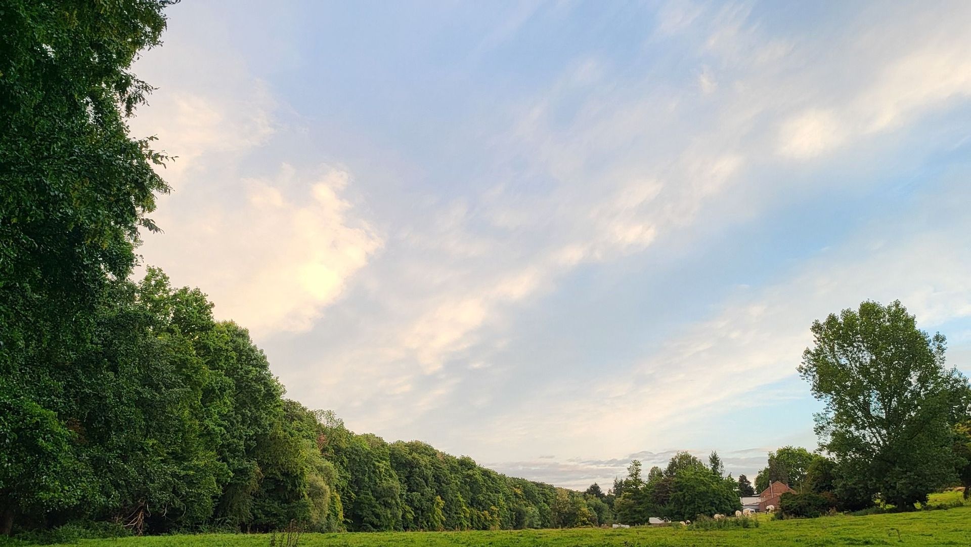 Météo en Belgique : un vendredi annonciateur d’un splendide week-end