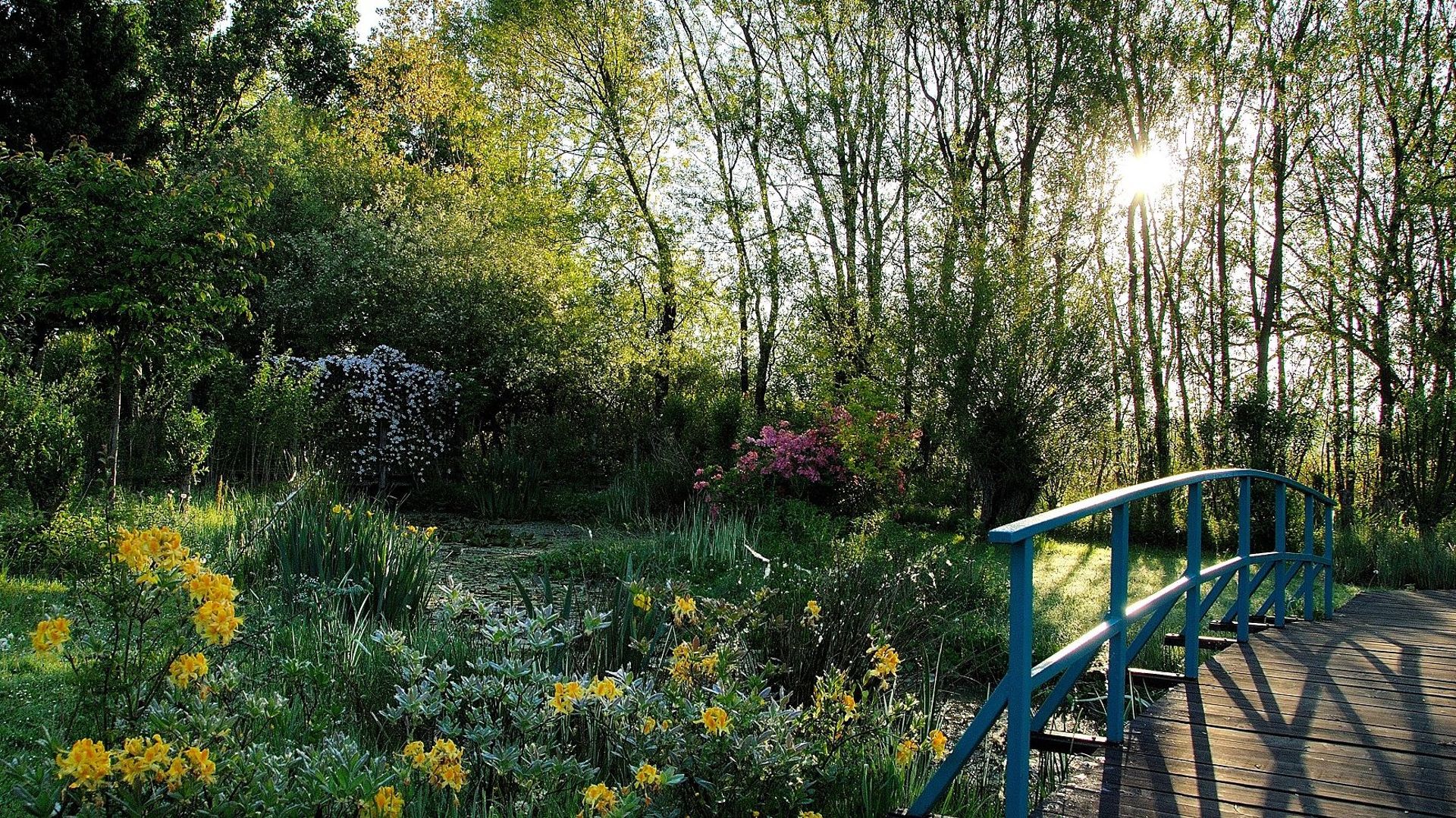 Jardin Monet