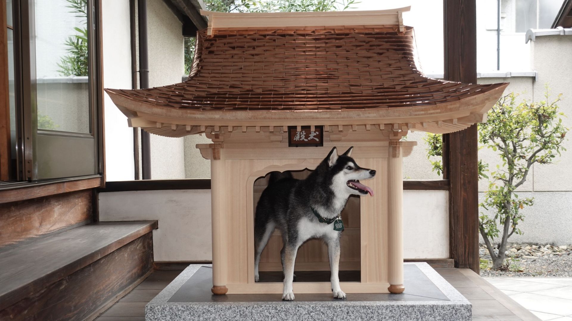 Niche pour chien conçue par l’entreprise de design Bunkazai Kozo Keikaku