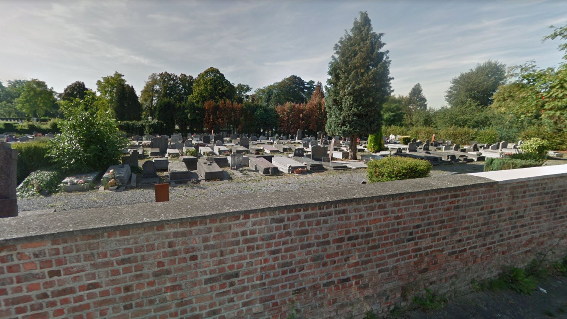 Un espace naturel à préserver au sein du cimetière de Mons.