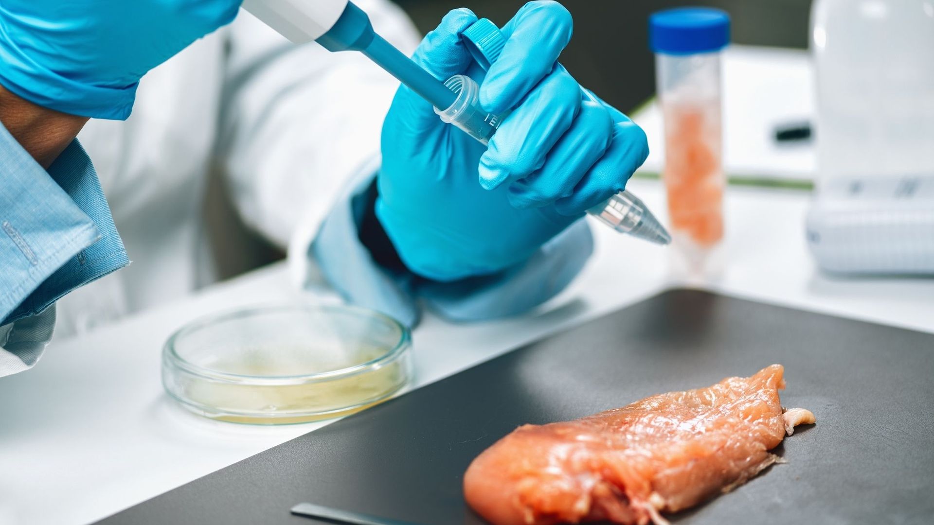 Les viandes in vitro ne sont peut-être pas la meilleure alternative à la viande traditionnelle, selon l'OMS.