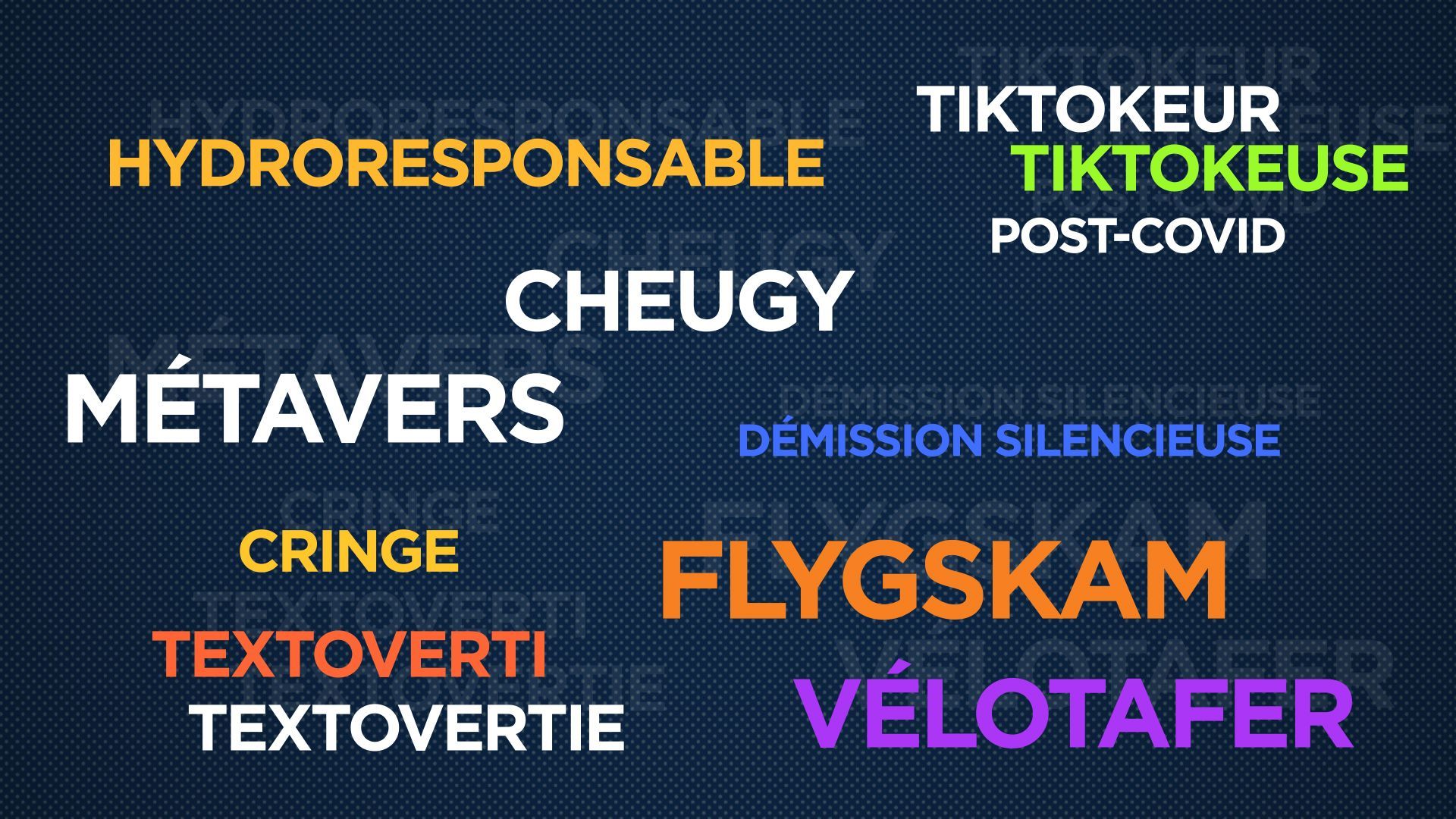 Tiktokeur, flygskam, métavers... Votez pour le nouveau mot de l'année 2022.