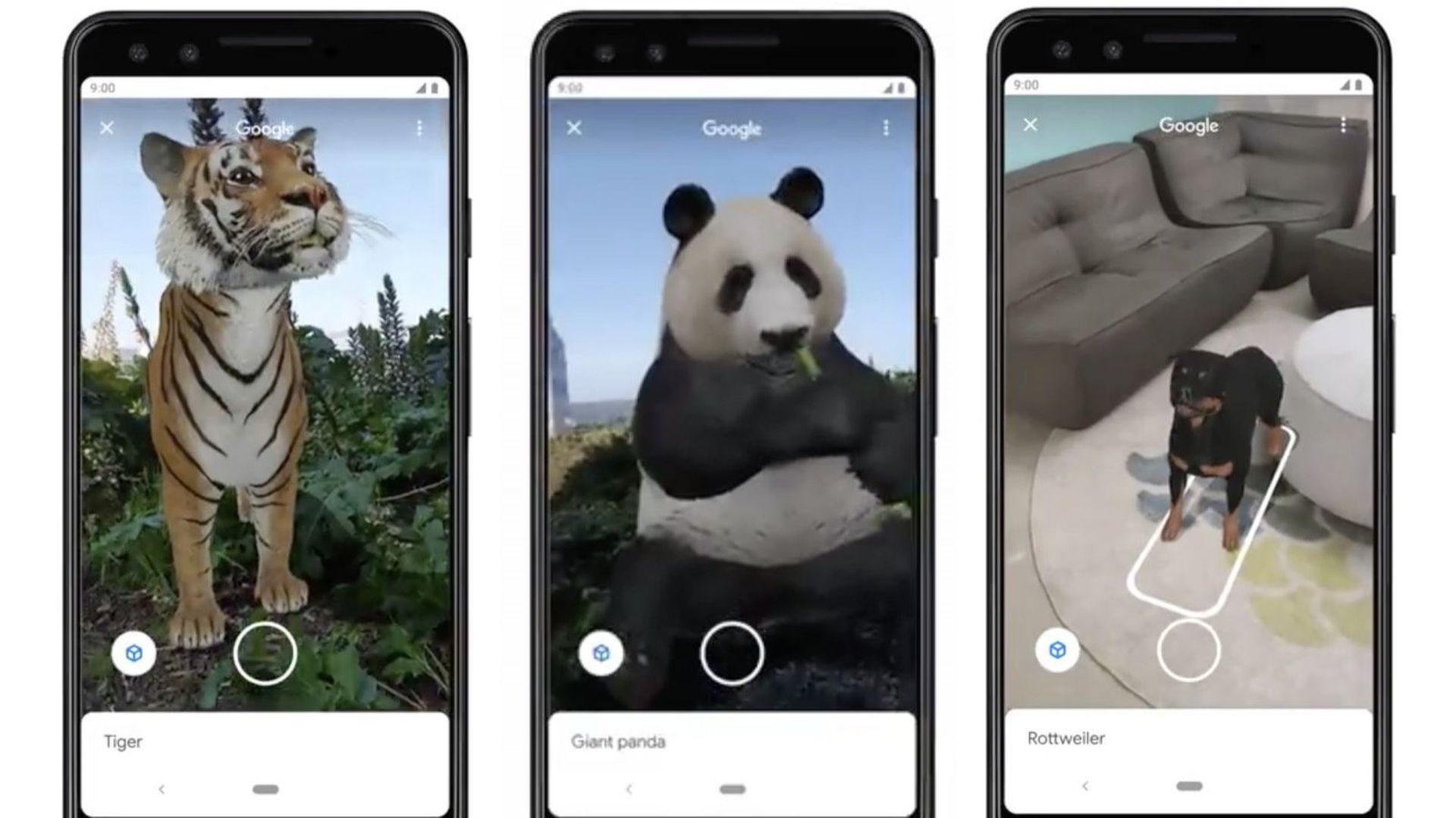 Créez votre propre zoo en réalité augmentée avec les animaux en 3D de Google