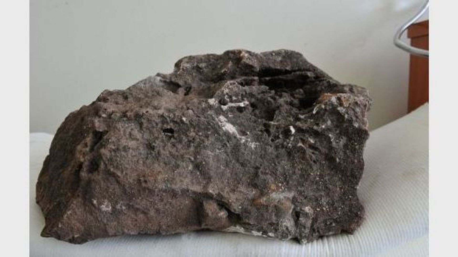 Le bloc rocheux qui contient le squelette "le plus complet jamais découvert d'un ancêtre de l'homme" selon les scientifiques, le 12 juillet 2012 à Johannesbourg