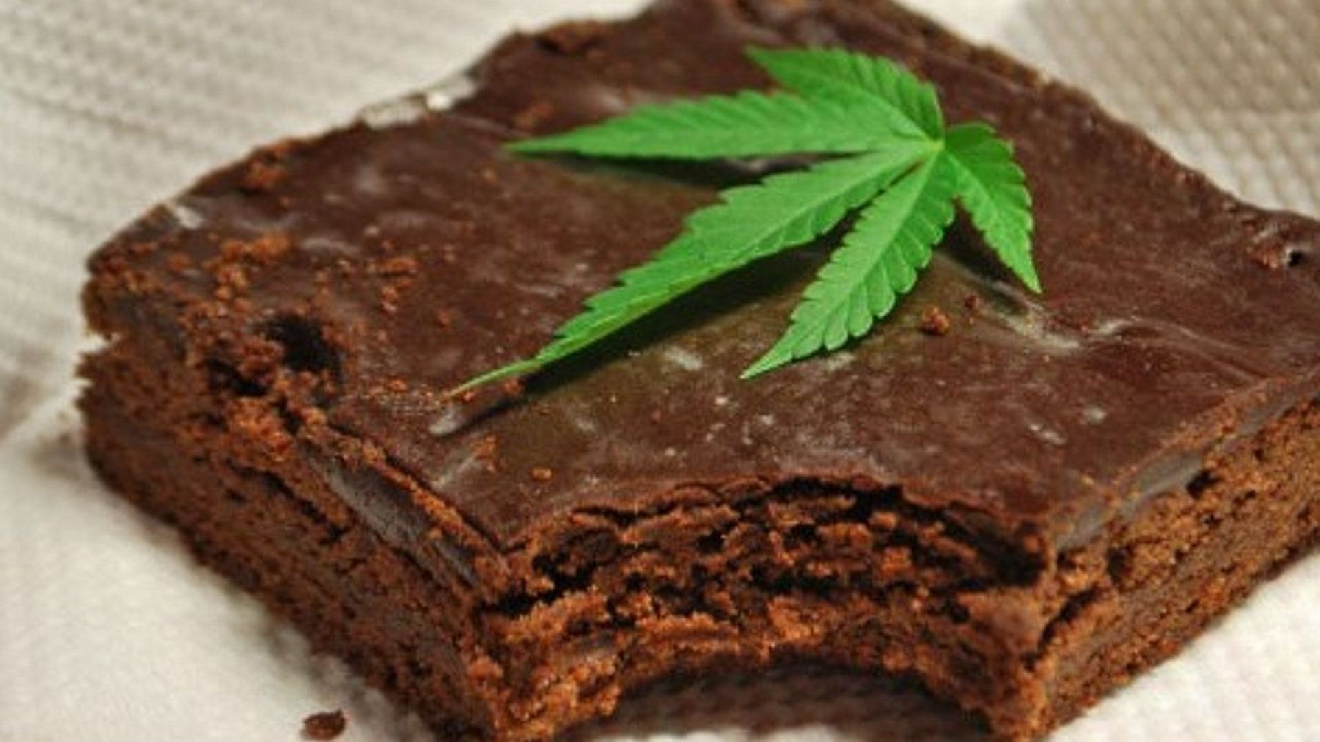 Un space cake géant au cannabis distribué gratuitement au marché de Noël de Zurich RTBF Actus